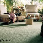 Mohawk Carpet Review